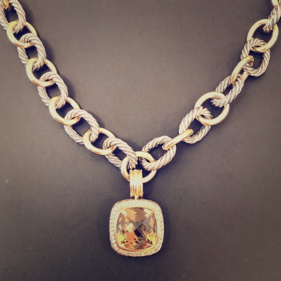 David Yurman Jewelry - David Yurman XL Oval Link Necklace &Albion Pendant